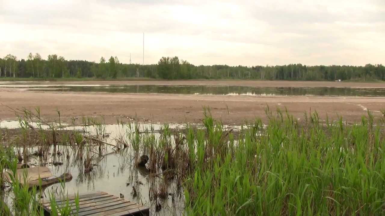 Озеро мазуринское фото Ecological Crisis. Экол. кризис: оз. Мазуринское (1500sp) - YouTube