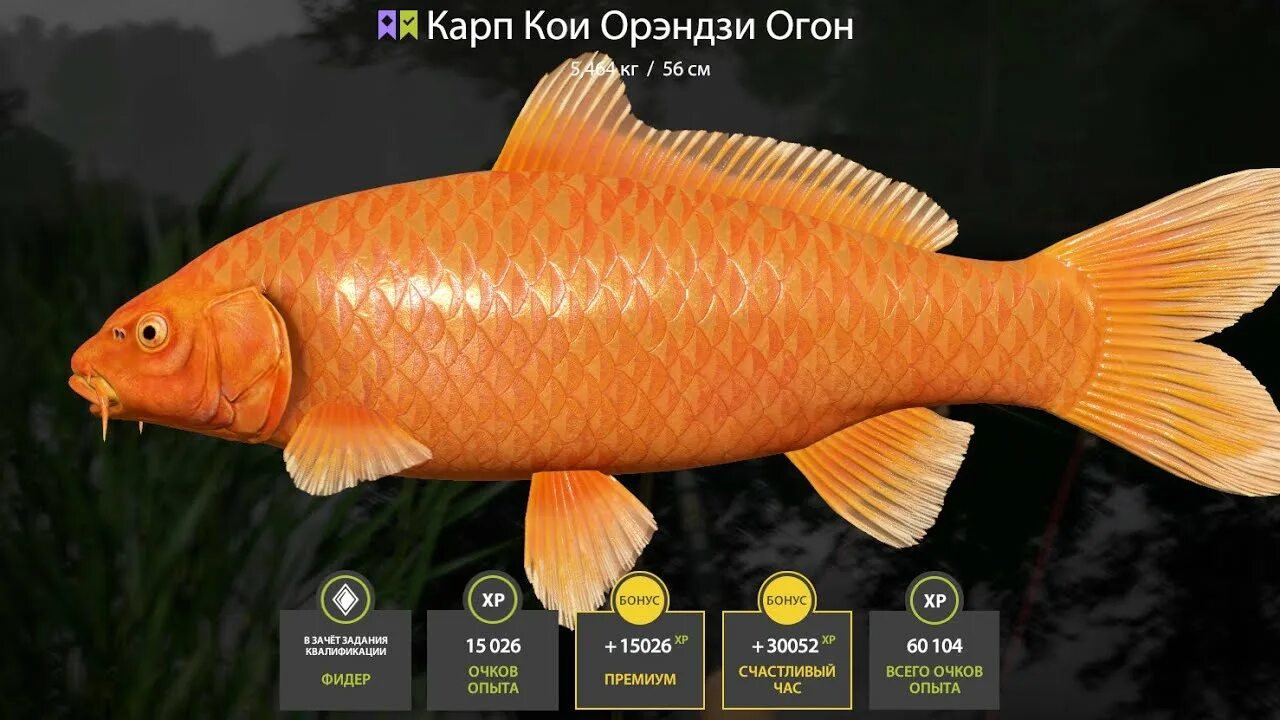 Озеро медное рр4 на что ловить В ПОИСКЕ ПЕРВЫХ ТРОФЕЙНЫХ КАРПОВ на Медном Озере РОЗЫГРЫШИ СТРИМ РУССКАЯ РЫБАЛКА