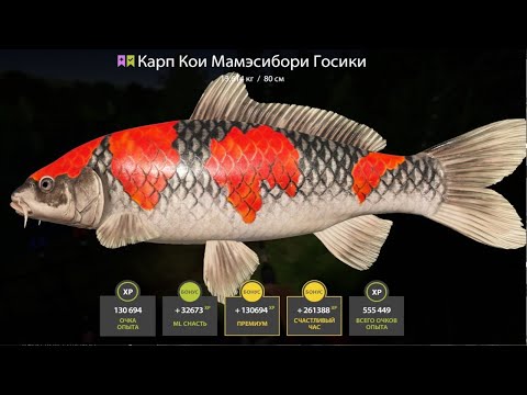 Озеро медное рр4 на что ловить НОВАЯ СУПЕР РАЗДАЧА ВСЕХ ВИДОВ КОИ на МЕДНОМ ОЗЕРЕ в Русской Рыбалке 4! РР4 - Yo