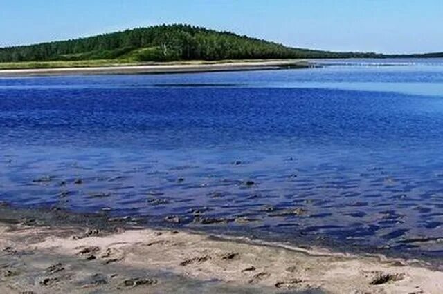 Озеро медвежье курганская область фото отзывы Санаторий "Озеро Медвежье" Курганская область: цены на проживание, отзывы турист