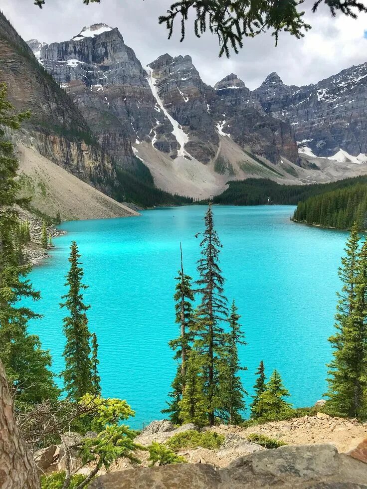 Озеро морейн фото Turquoise waters of Moraine Lake Canada OC 3024x4032 3024x4032 July 2019 #nature