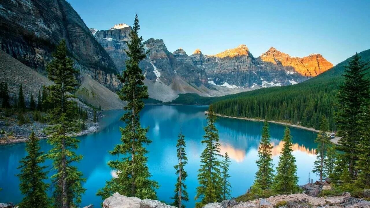 Озеро морейн фото Картина на холсте 30x40 LinxOne "Lake Moraine деревья пейзаж" интерьер для дома 