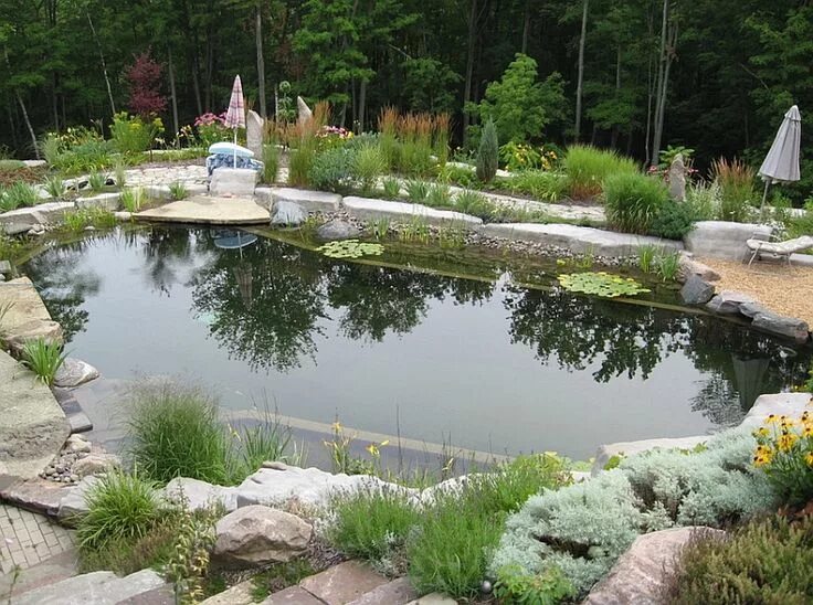 Озеро на участке фото Enchanting Natural Swimming Pools Shape An Idyllic Retreat Right At Home! Swimmi