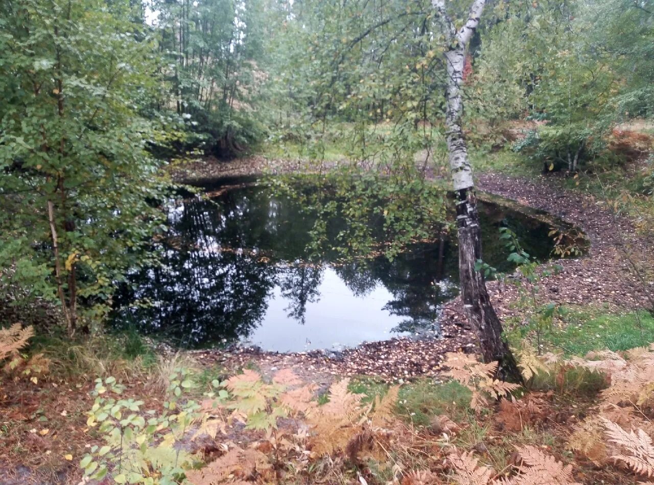 Озеро надежды фото Вот ещё одно красивое место, вблизи нашего Зеленодольск.Онлайн