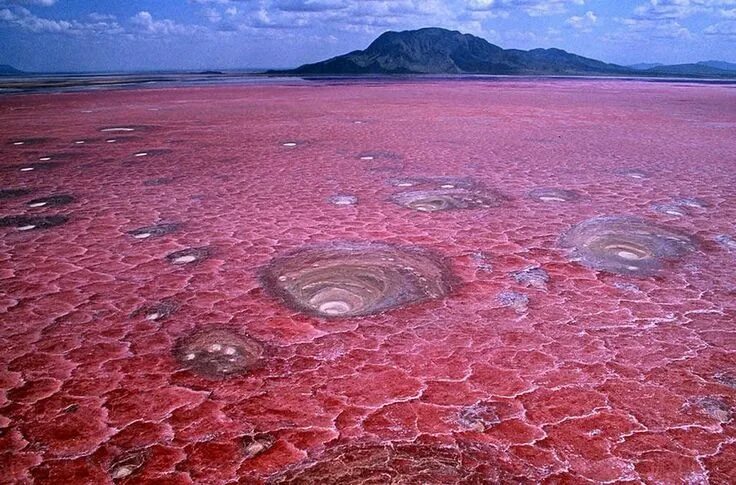 Озеро натрон фото НАТРОН. Что это? Natural phenomena, Breathtaking places, Tanzania
