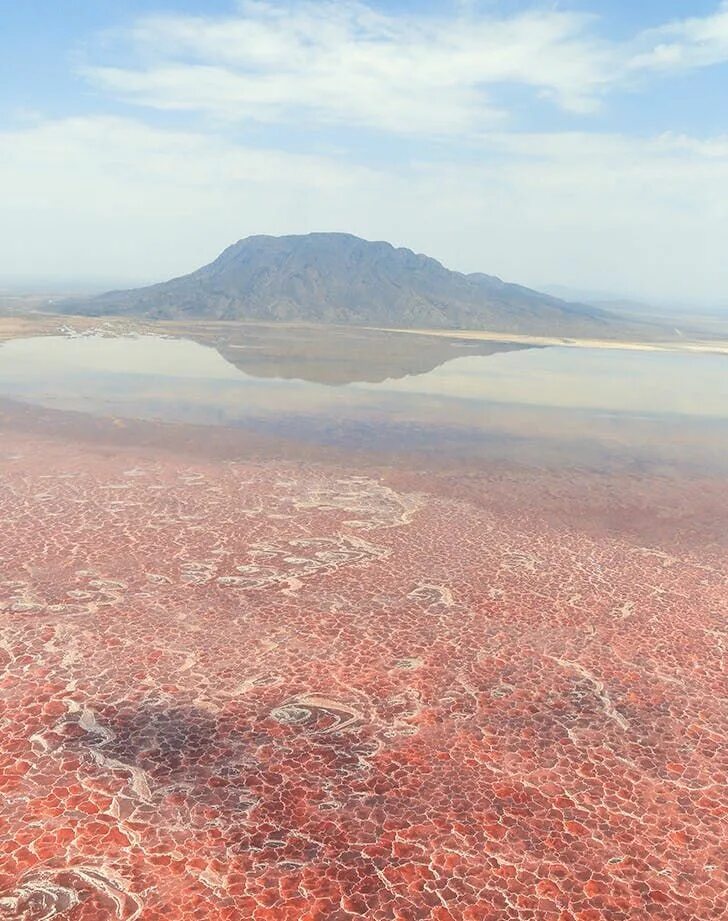 Озеро натрон в танзании фото 10 of the Most Incredible Natural Phenomena to See Before You Die (or They're Go