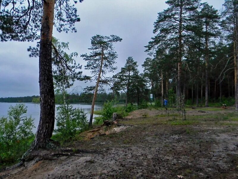 Озеро нюхти фото Нюхти озеро - Фото