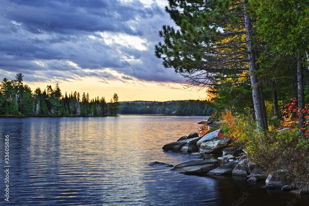 Озеро онтарио фото Dramatic sunset at lake фотография Stock Adobe Stock