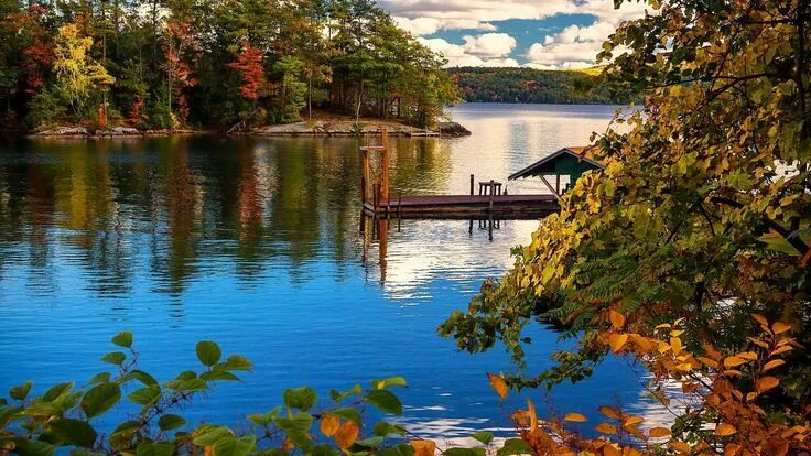Озеро осенью фото Lake George Fall events in September & October City tree, New york poster, Lake 