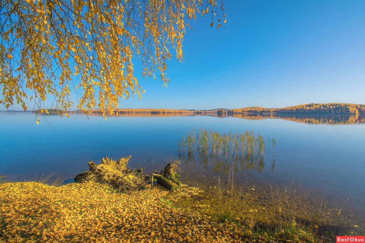Озеро осенью фото Осеннее озеро. Фотограф vladim Bormotov