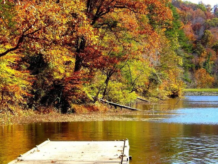Озеро осенью фото Park, Lake, Fall, Trees, Leaves, Autumn #park, #lake, #fall, #trees, #leaves, #a
