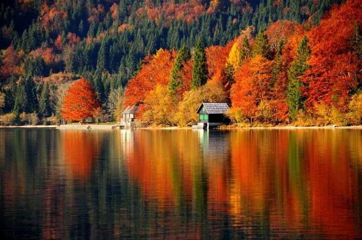 Озеро осенью фото 11 COSE DA FARE IN SLOVENIA IN AUTUNNO! Visit slovenia, Beautiful lakes, Beautif