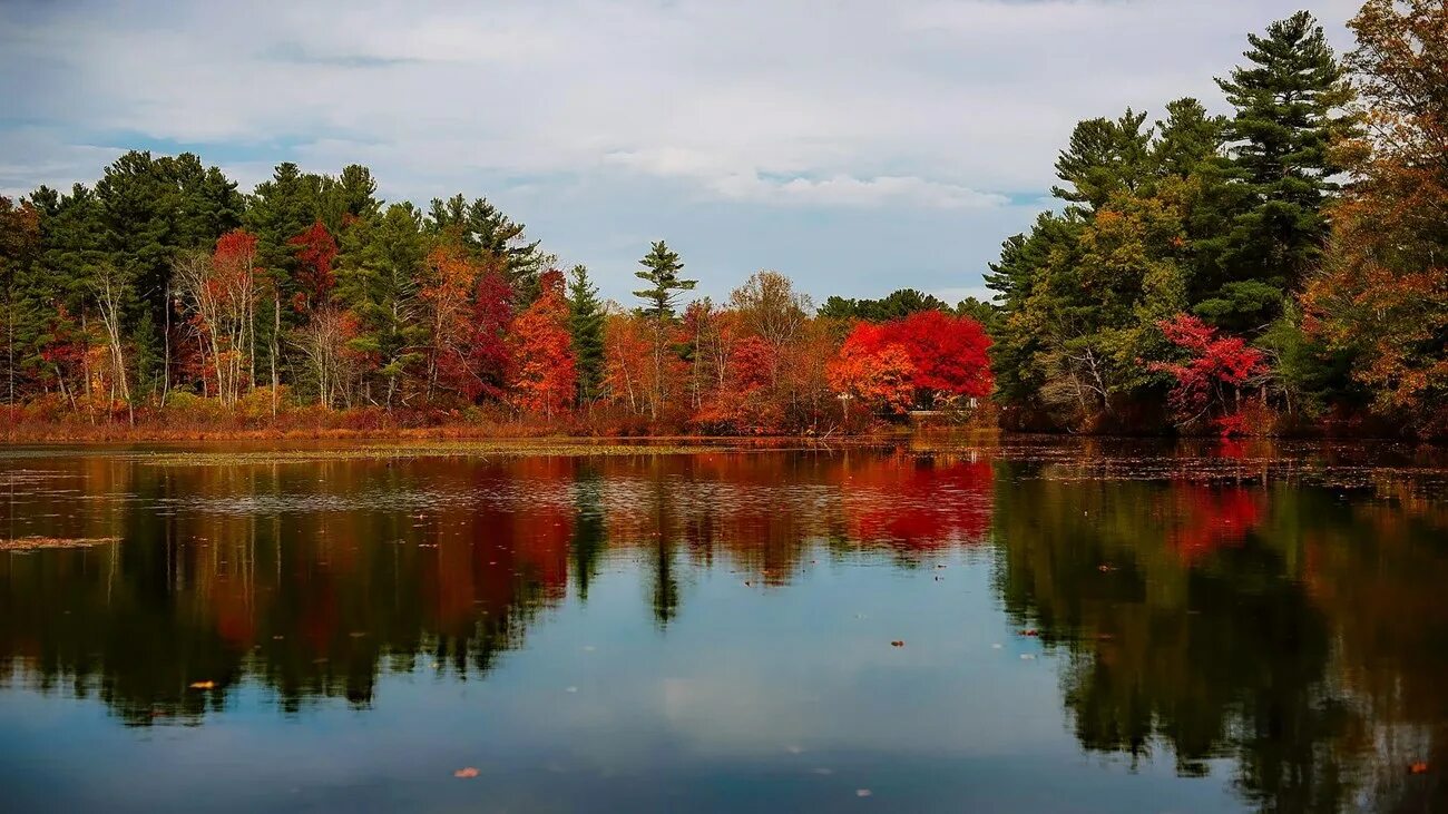 Озеро осенью фото Travel Massachusetts Conservation History (U.S. National Park Service)