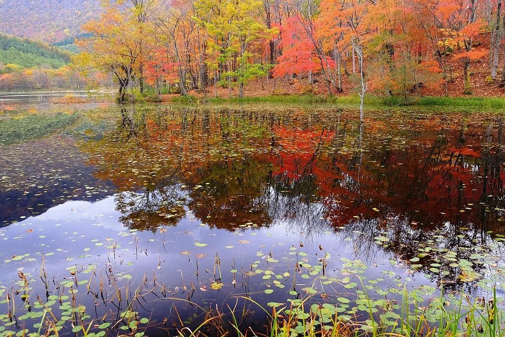 Озеро осенью фото the colours of autumn, part 1 This place is in the mountai. Flickr