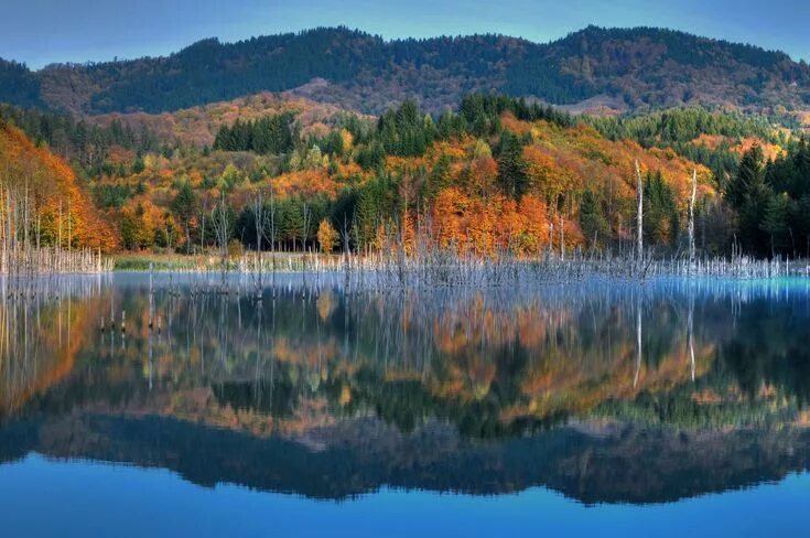 Озеро осенью фото High Definition Wallpaper Mountain wallpaper, Screen savers wallpapers, Tree wal