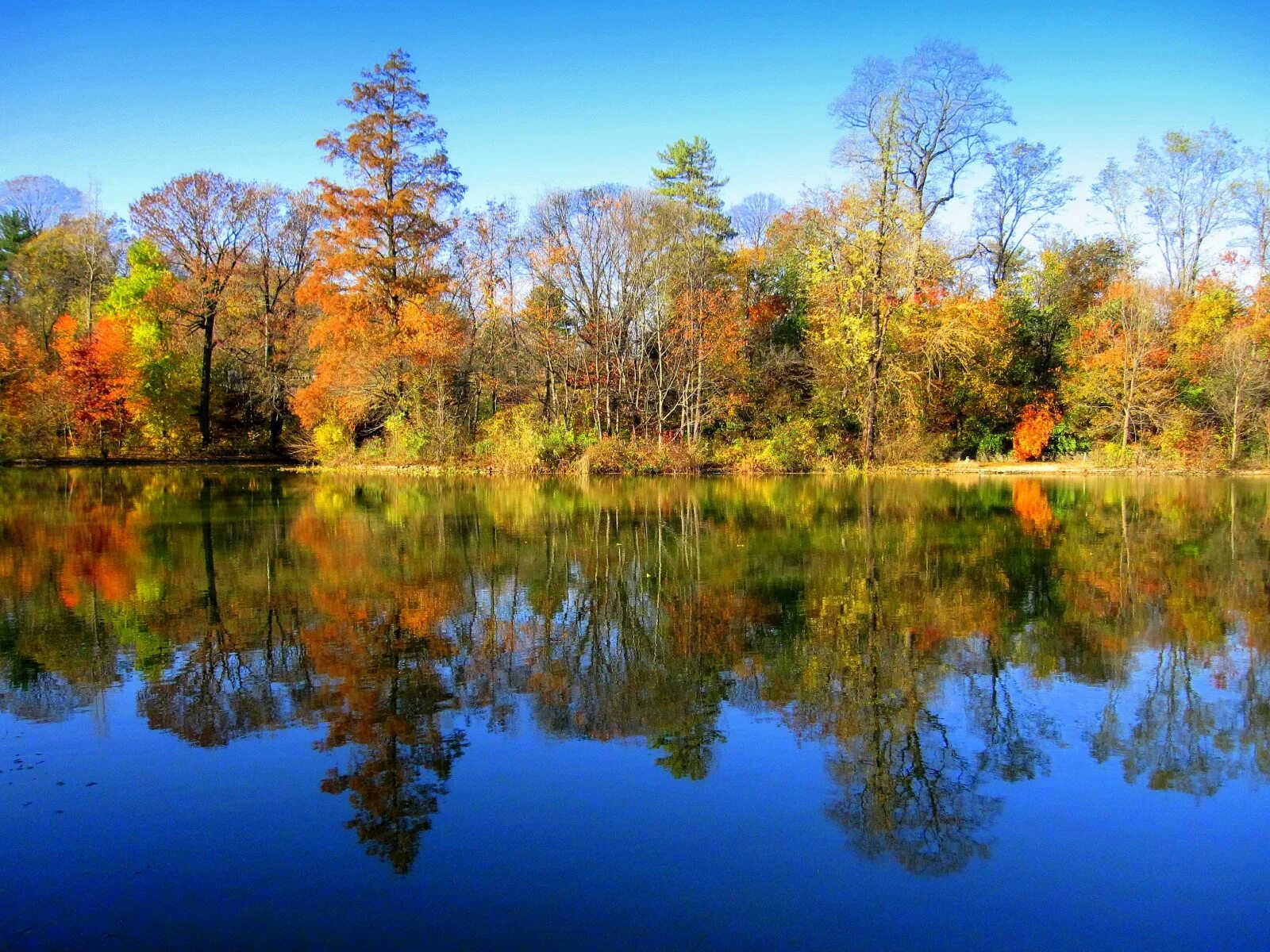 Озеро осенью фото Wallpaper : reflection, water, leaf, lake, autumn, wilderness, tree, ecosystem, 