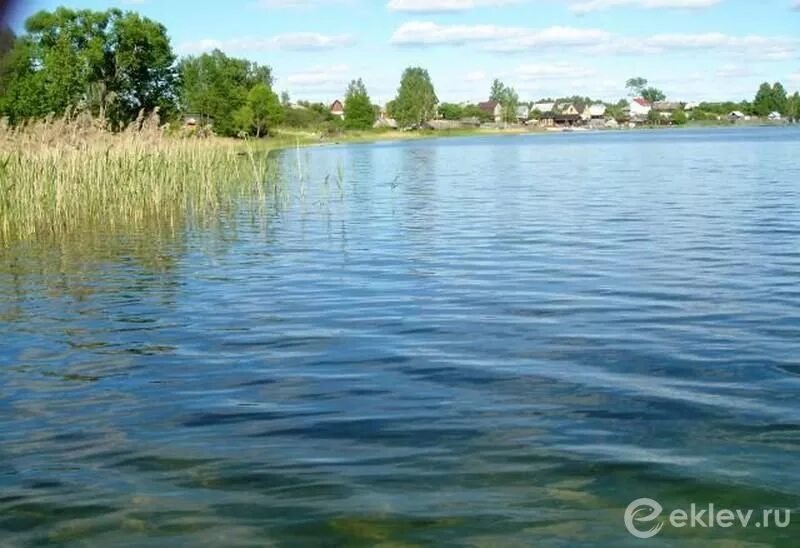 Озеро озерье клепиковский район фото Рыбалка на озере Клепиковское: каталог рыболовных туров