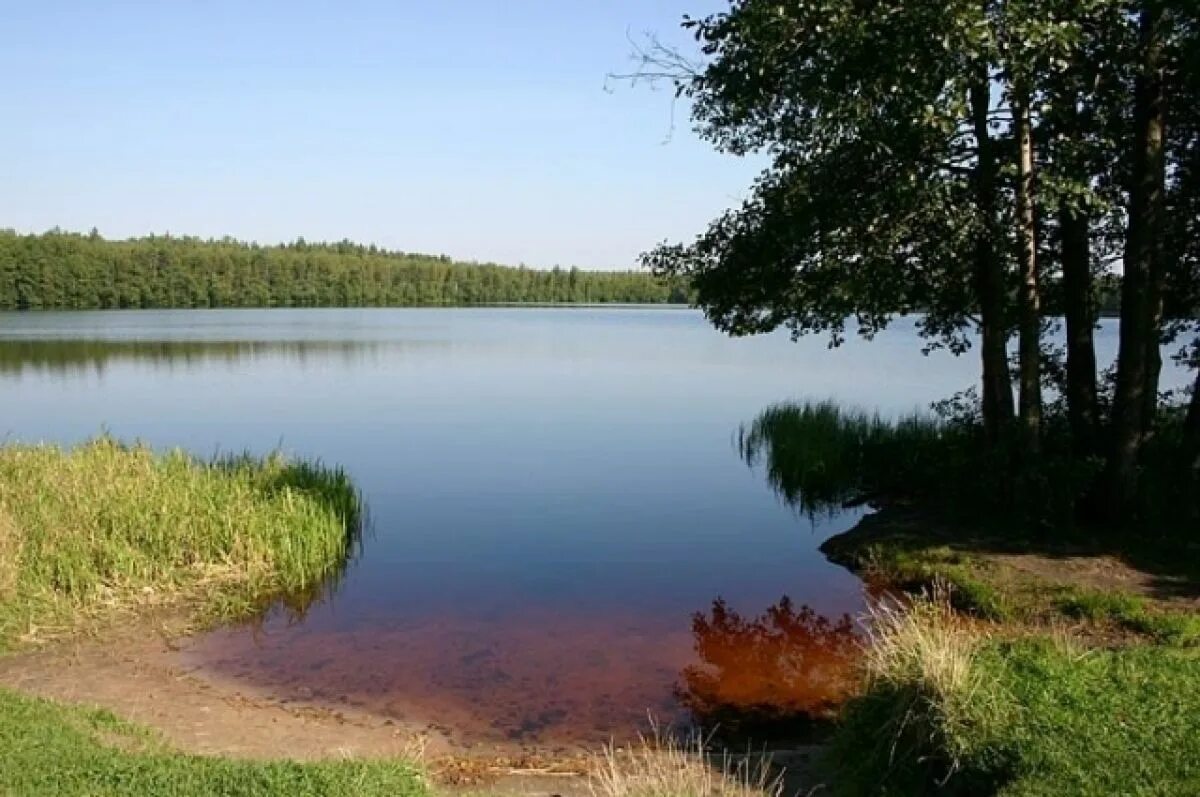 Озеро озерье клепиковский район фото Два пляжа в Рязанском районе откроют с задержкой АиФ Рязань