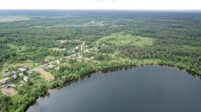 Озеро озерье клепиковский район фото Озеро Озерье