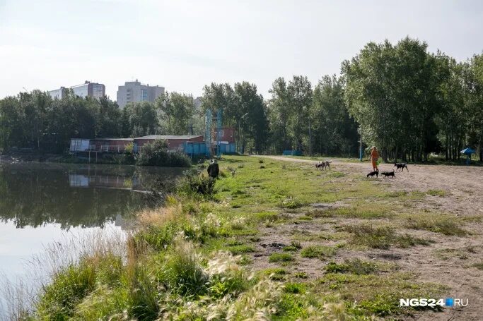 Озеро парк красноярск фото Администрация Красноярска вернула парк у озера Мясокомбината