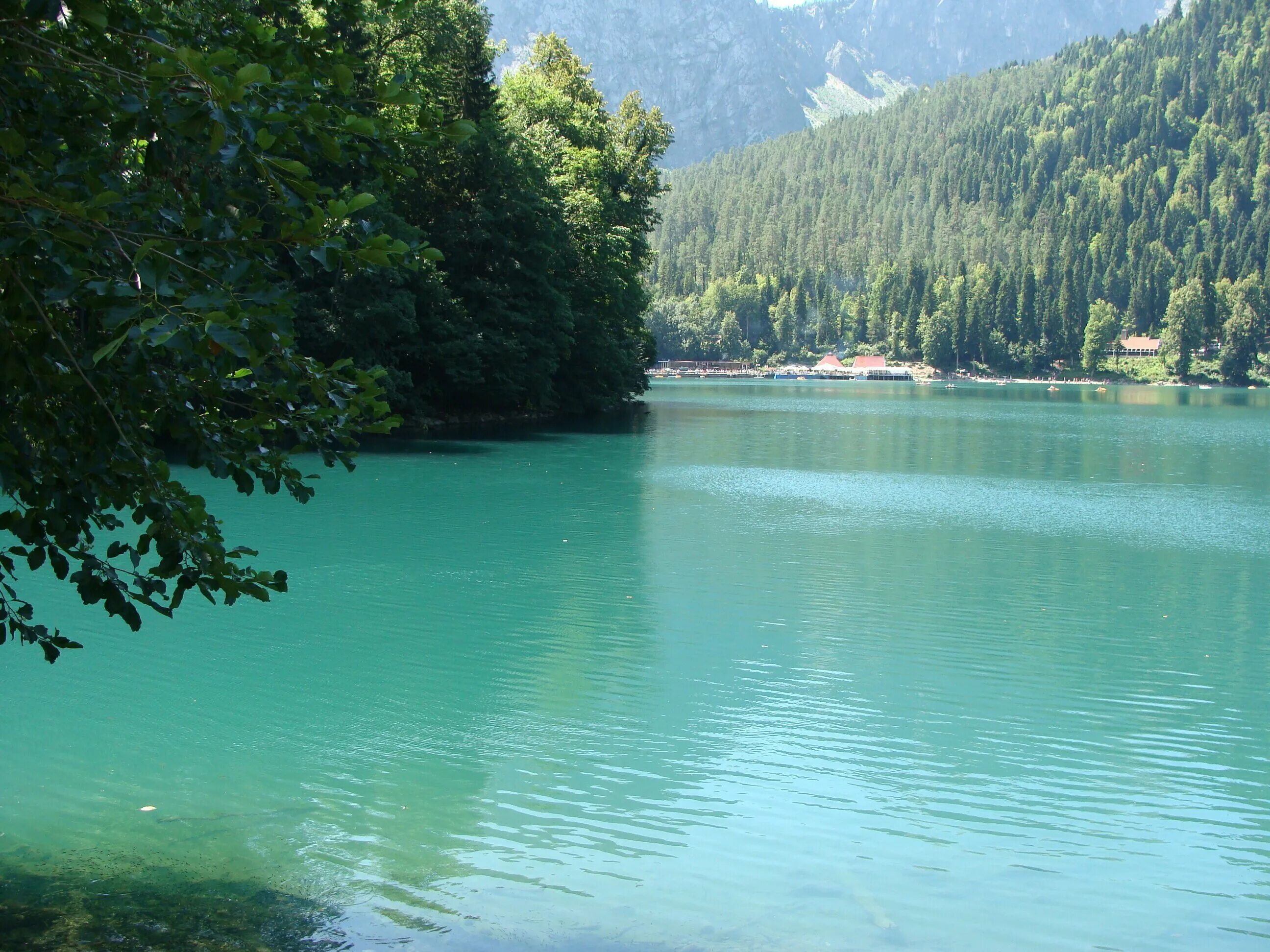 Озеро пицунда фото Озеро Пицунда Абхазия (78 фото)