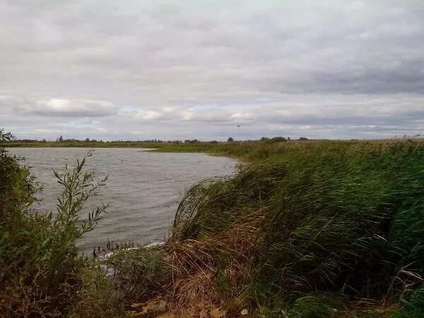Озеро попова чердаклы фото Озеро Песчанное Улпресса - все новости Ульяновска