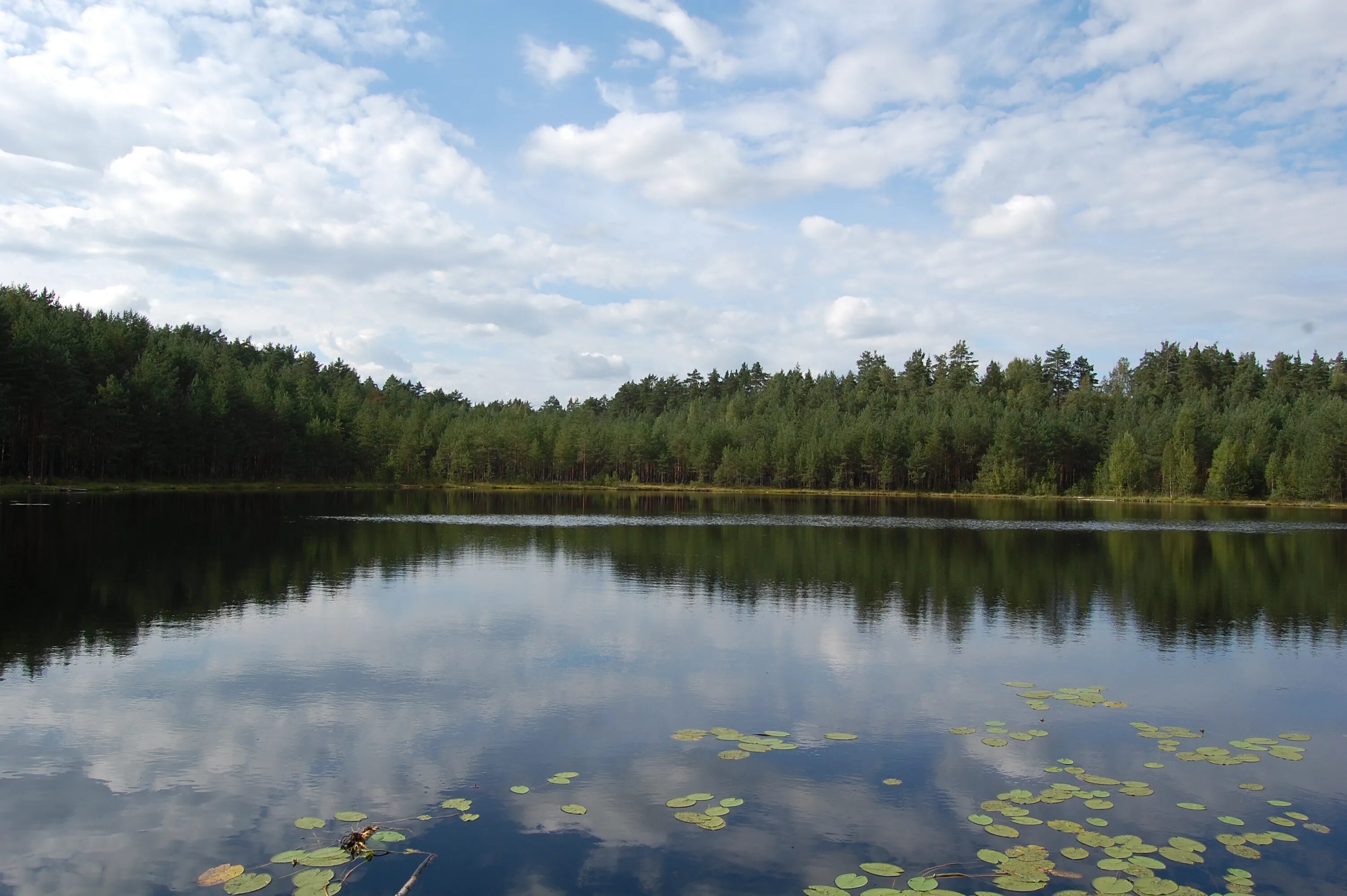 Озеро попова чердаклы фото Озеро Попово
