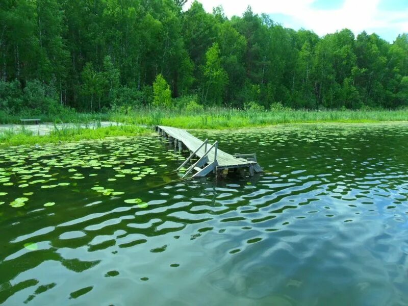 Озеро потаенное омская область фото Омские экологи против привлечения потока туристов в Муромцевский район - Новости