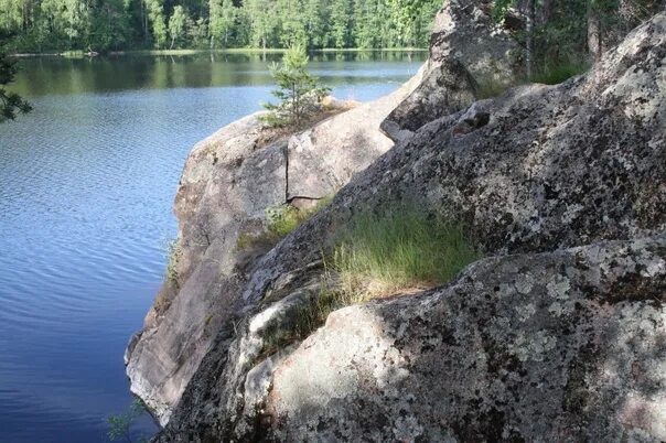 Озеро пронина свердловская область фото A family with a child was shot on the lake in Yanino. Suspect is a Petersburg ex