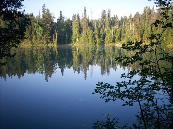 Озеро пронина свердловская область фото Недалеко от нас расположено самое глубокое озеро Свердловской области - Бездонно