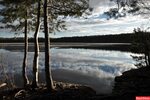 Озеро прыщино рязань фото Озеро рязани фото (87 фото)