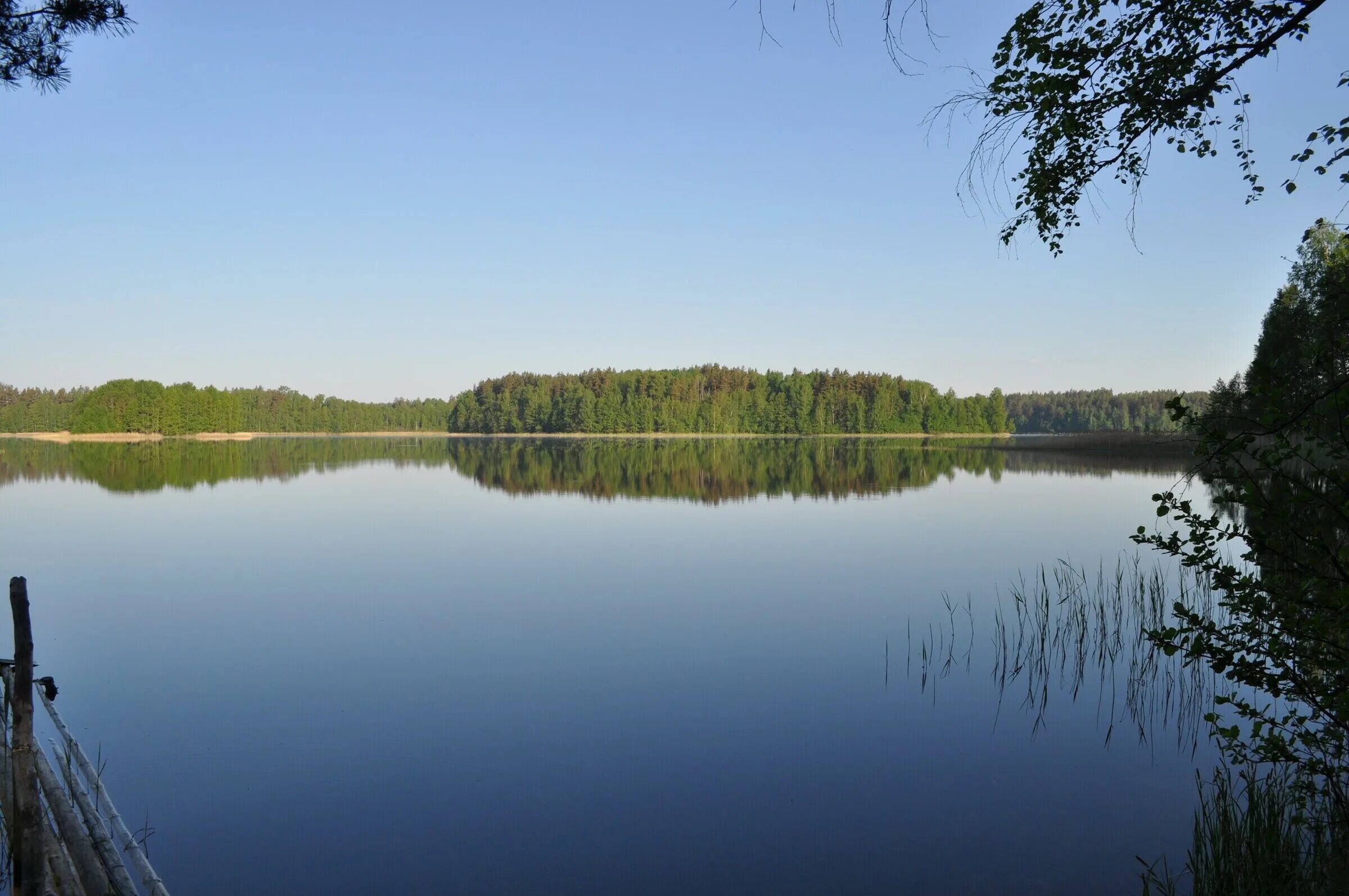 Озеро псковская область фото Белое озеро, Псковская область - рыбалка, карта, отзывы, фото, как добраться