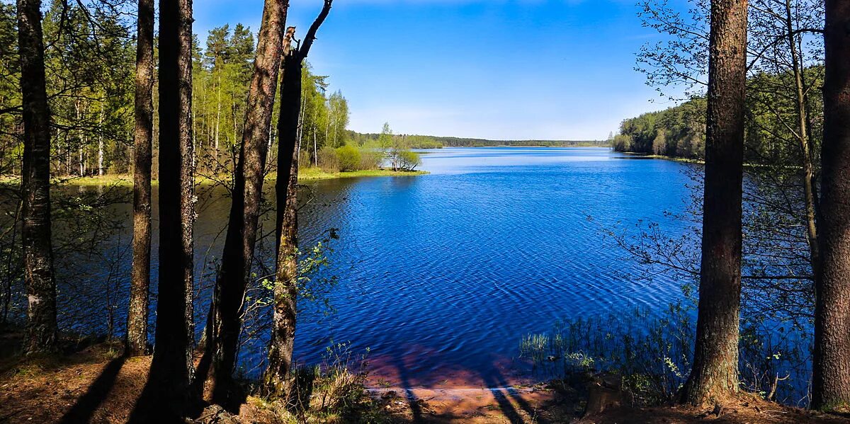 Озеро псковская область фото Файл:Ужиночка.jpg - Википедия