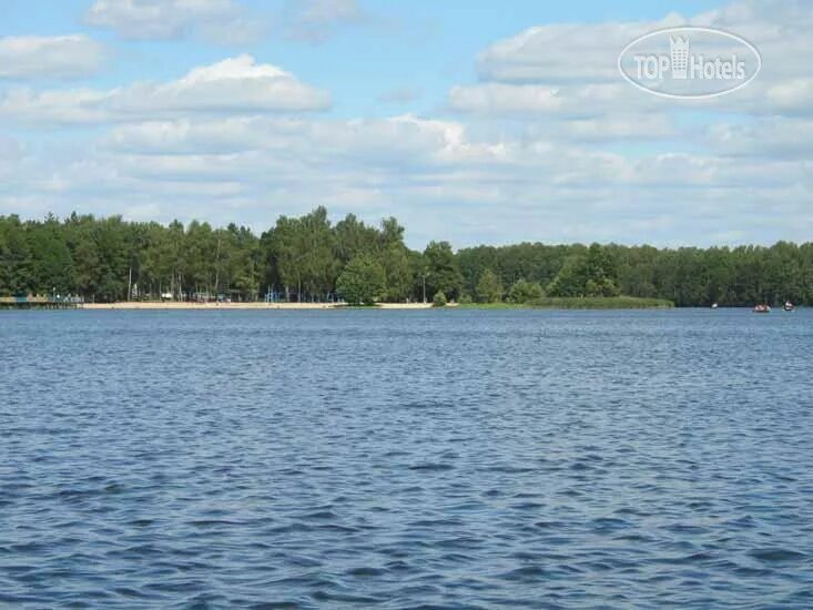 Озеро реальное фото Белое озеро (Belarus/Brestskay Oblast/Beloe Ozero). Global hotel rating - TopHot