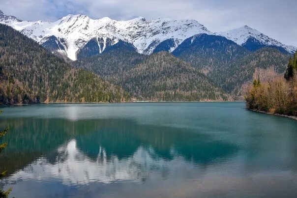 Озеро рица абхазия фото 2024 Lake Ritsa, Abkhazia 2022 ФотоПутешествия Архитектура Музеи Природа VK