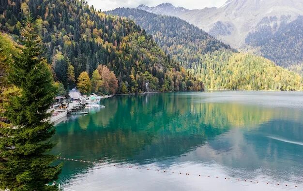 Озеро рица осенью фото Premium Photo Lake Ritsa in Abkhazia in autumn, lake view with autumn forest in 
