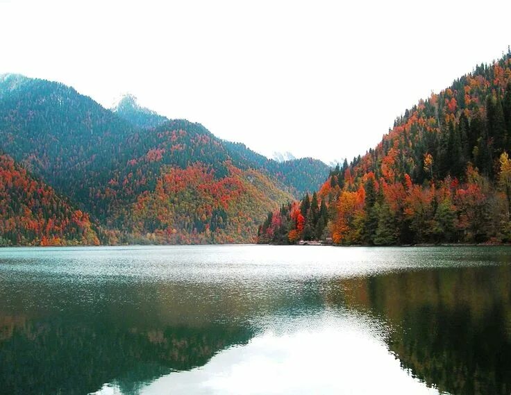 Озеро рица в ноябре фото Lake of the Ritz - Ritsa Nature Reserve, Abkhazia, Georgia Заповедник, Озеро, Эк
