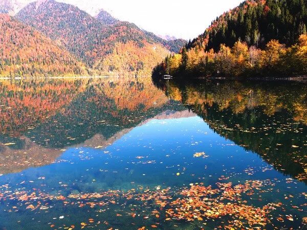 Озеро рица в ноябре фото Комментарии / Публикации travellersochi