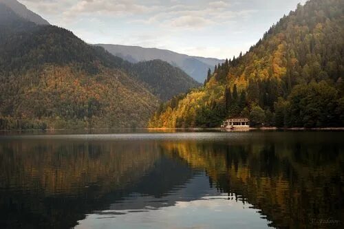 Озеро рица в ноябре фото Озеро Рица. Photographer Fedotov Vadim(Vadius)