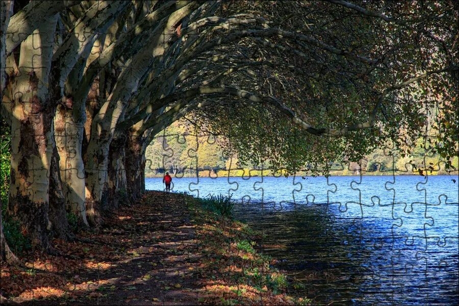 Озеро с деревьями фото Магнитный пазл 27x18см."Baldeneysee, еда, озеро" на холодильник - купить в интер