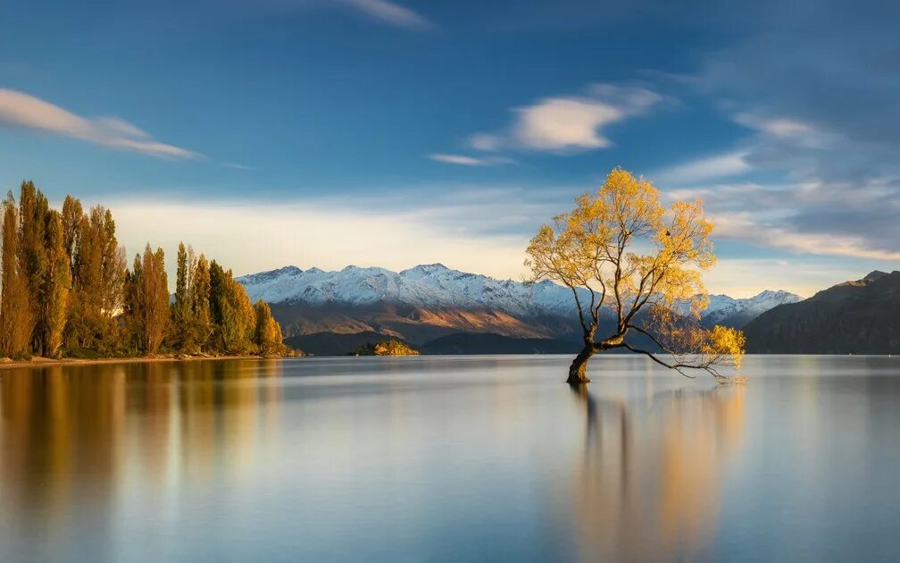 Озеро с деревьями фото PeakD