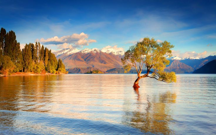 Озеро с деревьями фото Lake Wanaka By: pulicey New Zealand 2560x1600 Lake wanaka, Lake landscape, Lands