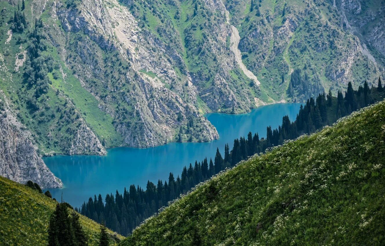 Озеро сары фото Вид на северную часть... - Озеро Сары-Челек - Landscapes and habitats - Plantari