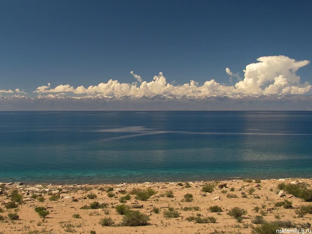 Озеро сарыкамыш туркмения фото Горы - По Новосибирску. - LiveJournal