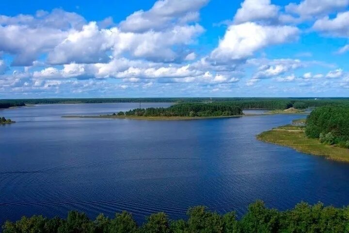 Озеро селигер фото лето Одним из самых дорогих мест отдыха в России стало озеро Селигер в Осташковском г