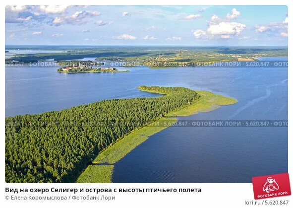 Озеро селигер фото природы Вид на озеро Селигер и острова с высоты птичьего полета. Стоковое фото № 5620847