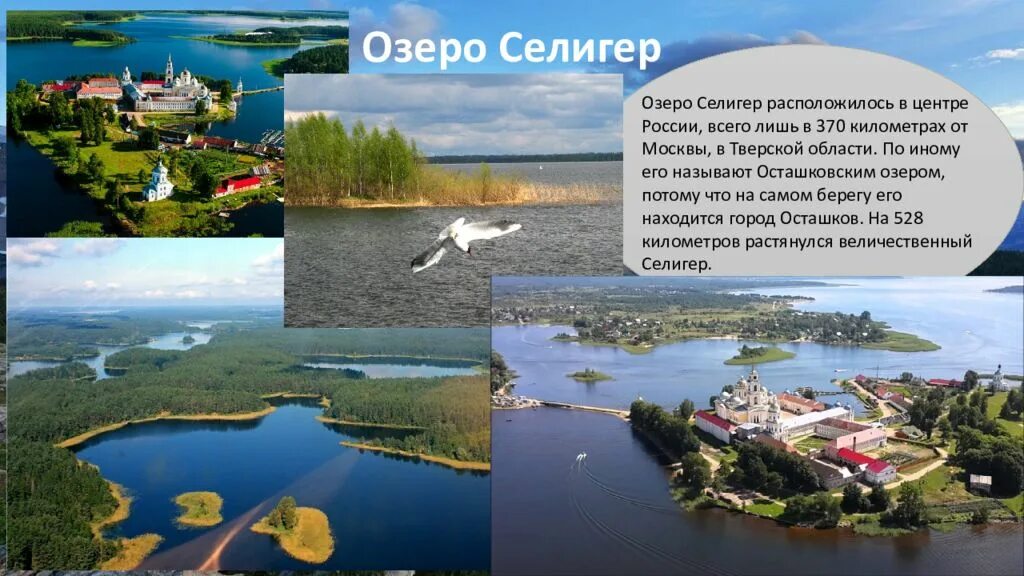 Озеро селигер где находится фото Где находится селигер - блог Санатории Кавказа