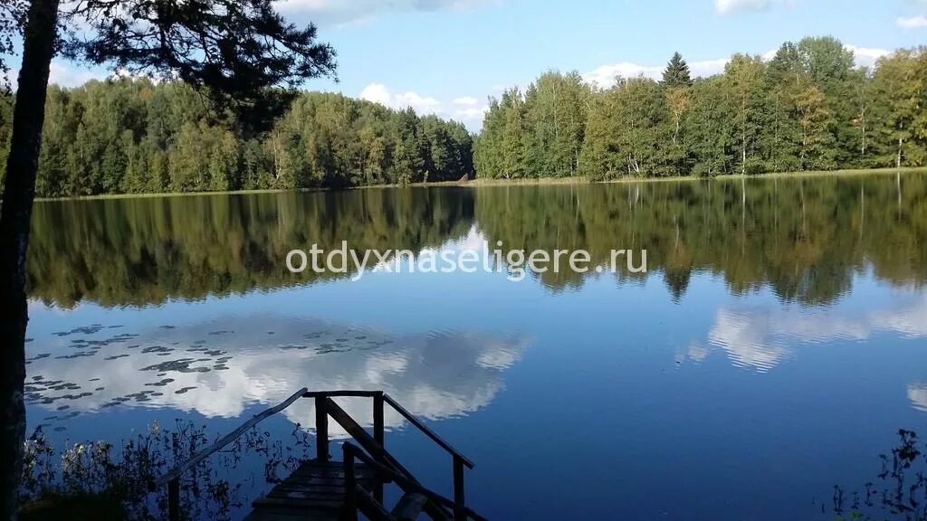 Озеро серебряное нижний новгород родионова фото Экскурсии Медвежий угол