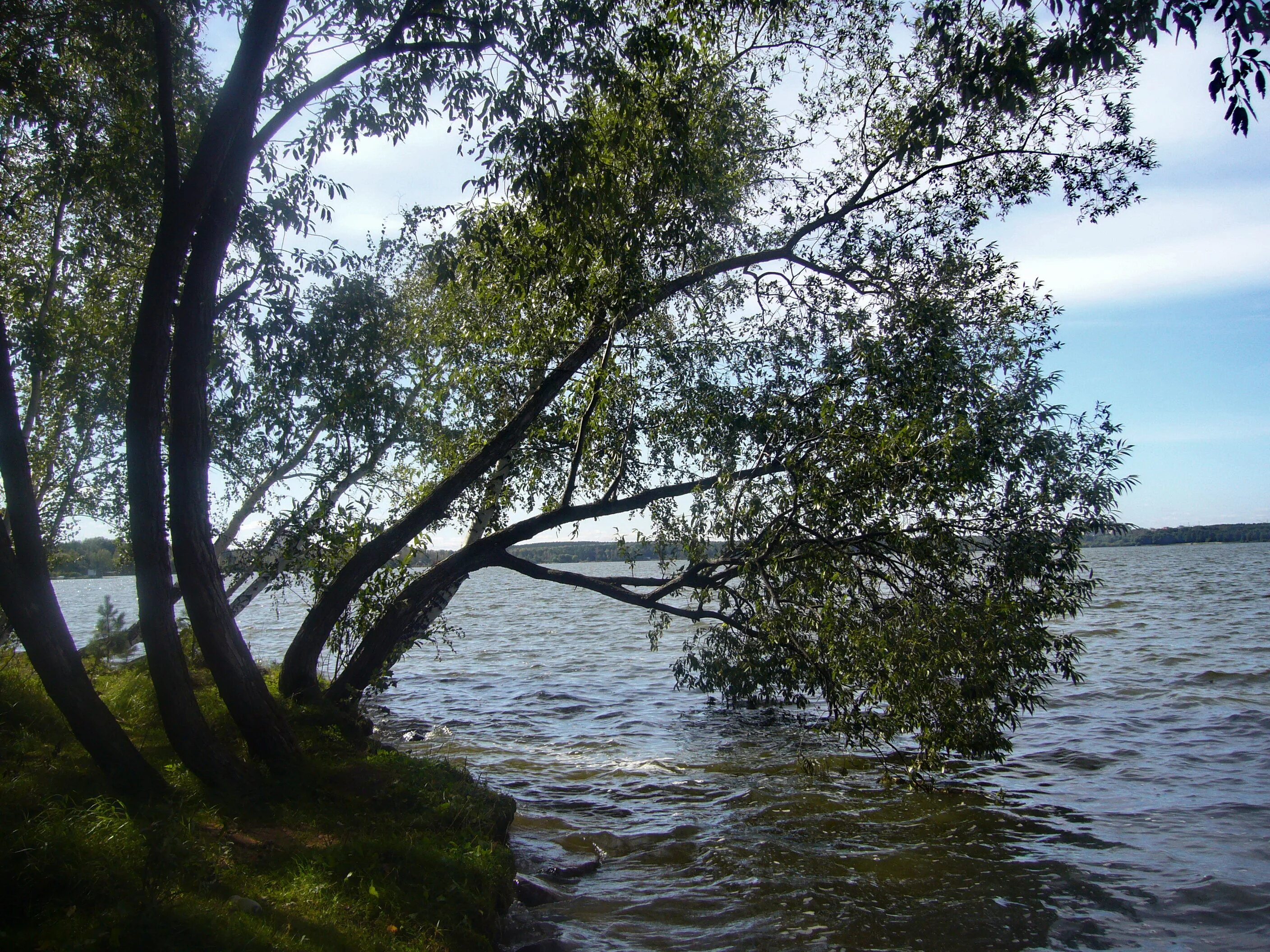 Озеро шарташ фото File:Озеро Шарташ - panoramio (13).jpg - Wikimedia Commons