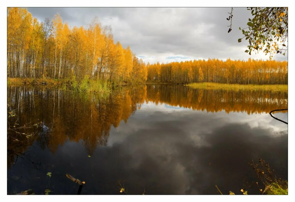 Озеро шатура фото Шатурские озера - Фото